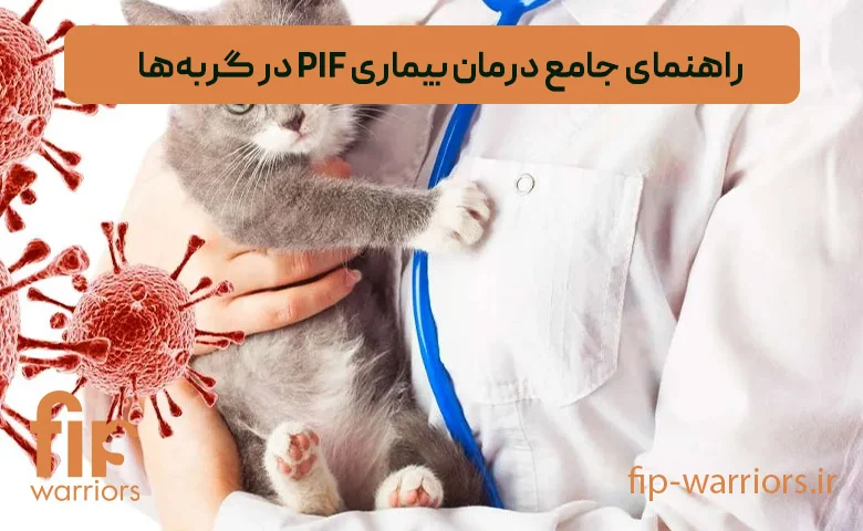 درمان | طلا خرید داروی GS برای درمان FIP در ایران: اطلاعات و مشاوره تخصصی