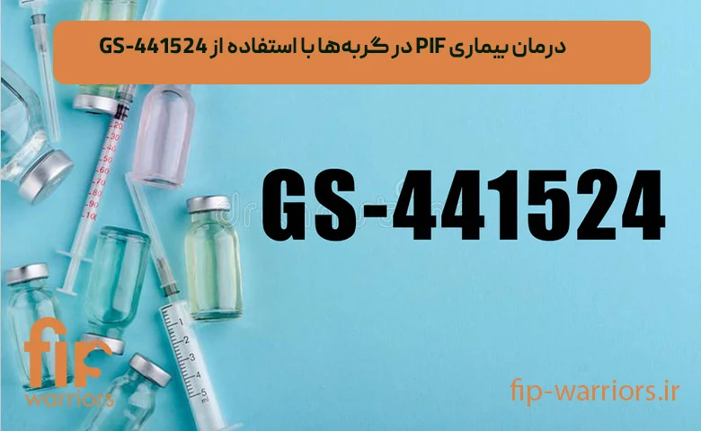 درمان | طلا خرید داروی GS برای درمان FIP در ایران: اطلاعات و مشاوره تخصصی