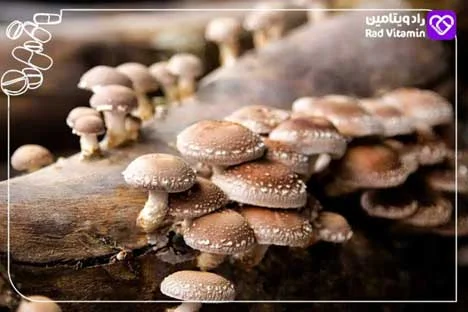 مکمل قیمت مکمل ahcc