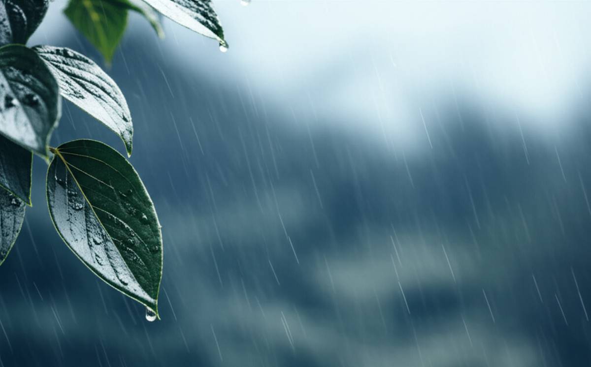 کتاب خلاصه کتاب نم نم بارانم | اشعار علی باباچاهی (۷۵-۷۳)