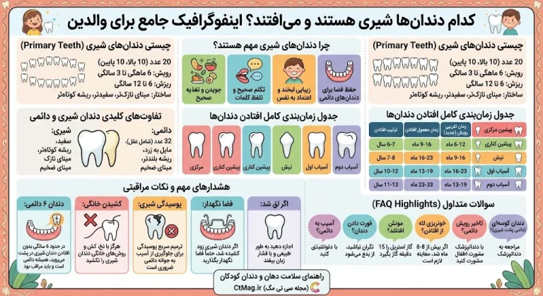 کدام دندان ها شیری هستند و می افتند؟