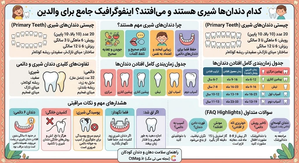 کدام دندان ها شیری هستند و می افتند؟